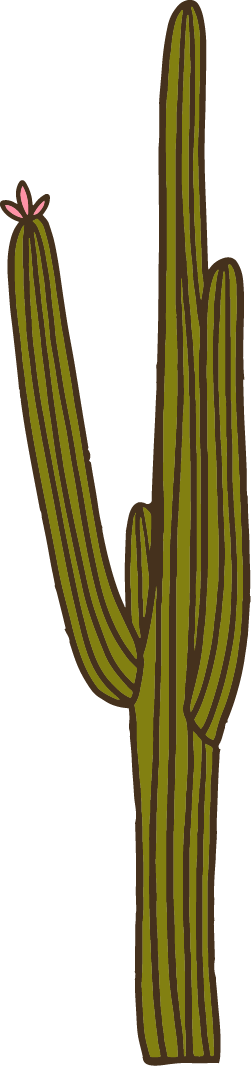 Mexican_Mellow (2)-08